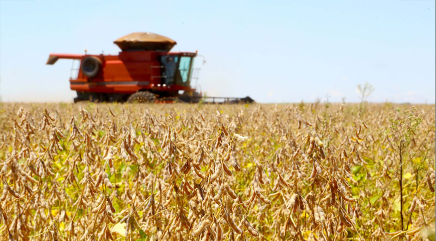 PIB do Brasil cresce 2,3% em 2025 e chega a R$ 12,7 trilhões, puxado pela agropecuária