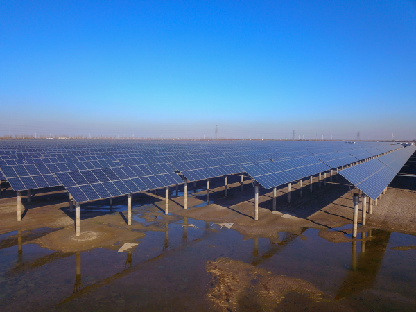 Aneel revoga projetos solares de 150 MW no Ceará por atrasos nas obras