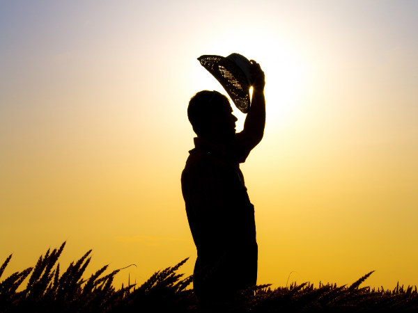 SÃO JOSÉ SERTANEJO