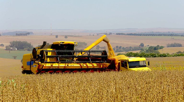 Safra de grãos deve bater recorde em 2025, com alta de 13,9% na produção, aponta IBGE