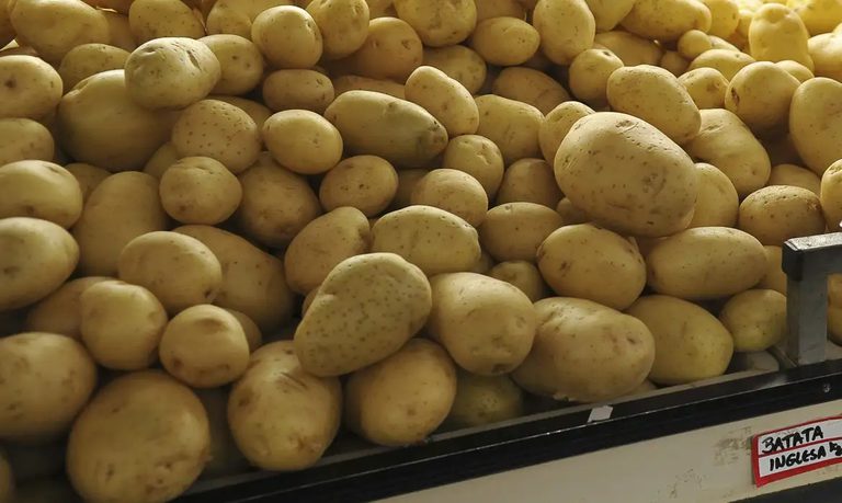 Batata e cebola registram forte queda de preços nas Ceasas; banana e mamão ficam mais caros, aponta Conab